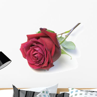 Rose Wall Decal shown on a wall