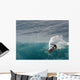 Surfing Wall Mural