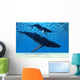Humpback Mother