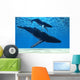 Humpback Mother