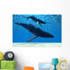 Humpback Mother