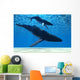 Humpback Mother