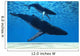 Humpback Mother