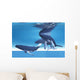 Underwater Whales