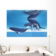 Underwater Whales