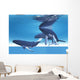 Underwater Whales