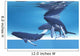 Underwater Whales
