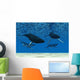 Whale Swim