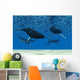 Whale Swim