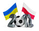 euro 2012 Wall Decal