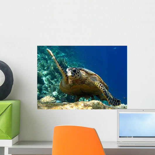 Tartaruga Wall Decal