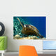 Tartaruga Wall Decal
