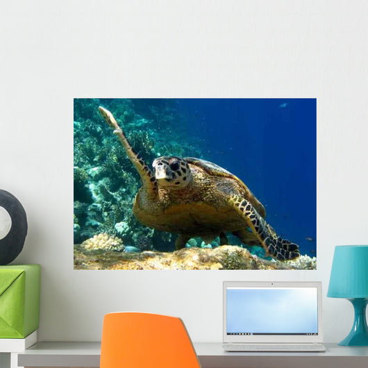 Tartaruga Wall Decal