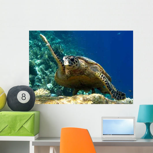 Tartaruga Wall Decal