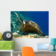 Tartaruga Wall Decal