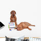 Dog Teaching Math