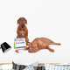 Dog Teaching Math
