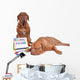 Dog Teaching Math