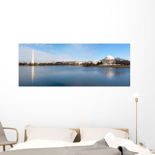 Washington DC Wall Mural
