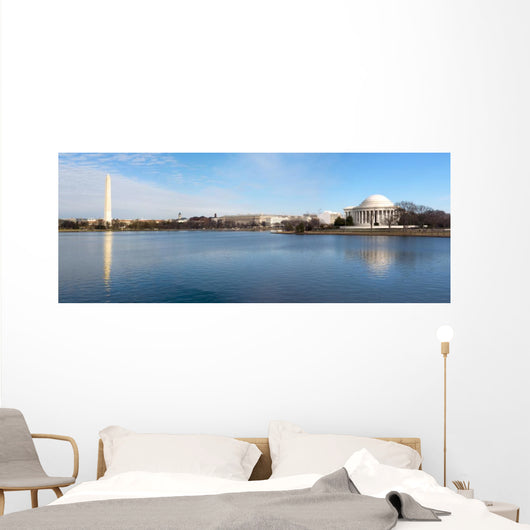 Washington DC Wall Mural