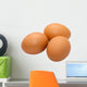 Egg Wall Mural