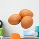 Egg Wall Mural
