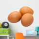 Egg Wall Mural