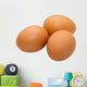 Egg Wall Mural