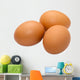 Egg Wall Mural