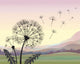 Dandelion Wall Mural