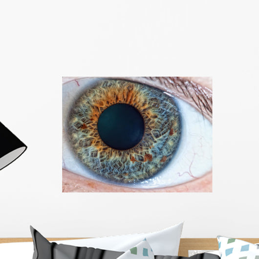 Human Eye Macro