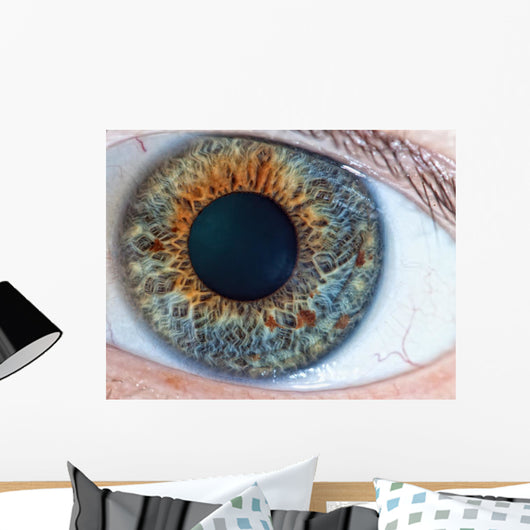 Human Eye Macro