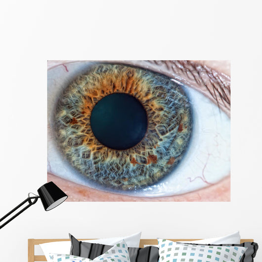 Human Eye Macro
