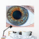 Human Eye Macro