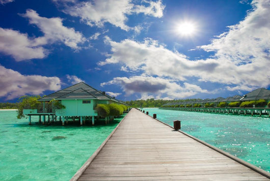 Tropical Beach