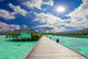 Tropical Beach
