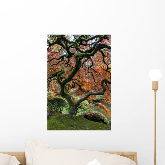 Red Maple Japanese Garden