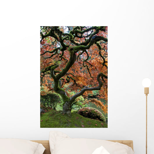 Red Maple Japanese Garden