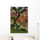 Red Maple Japanese Garden