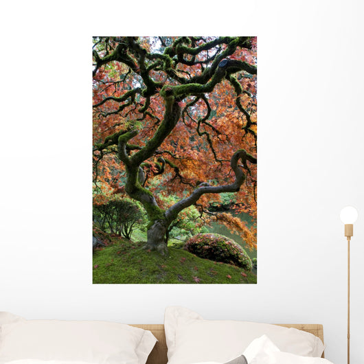 Red Maple Japanese Garden
