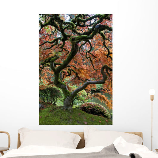 Red Maple Japanese Garden