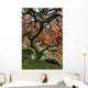 Red Maple Japanese Garden