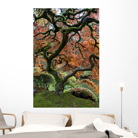 Red Maple Japanese Garden