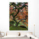 Red Maple Japanese Garden