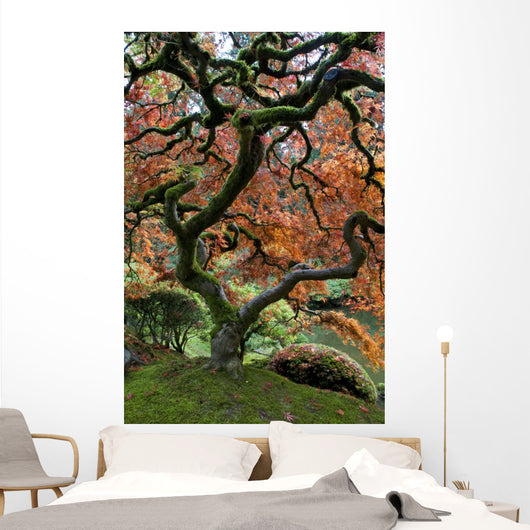 Red Maple Japanese Garden