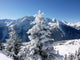 Christmas in the Alps Wall Mural
