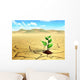 Seedling Desert Wall Decal
