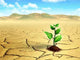 Seedling Desert Wall Decal