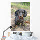 Dapple Daschund Wall Mural