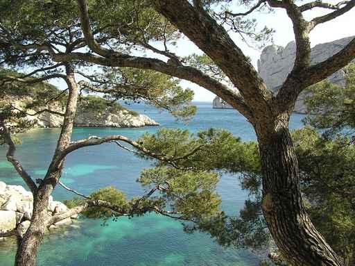 Calanque Sormiou Wall Decal Design 3
